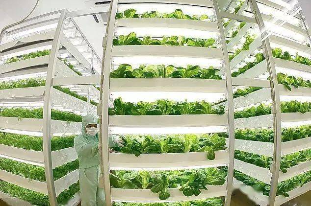 “白色農業(yè)”在我國推行有特別重要的意義