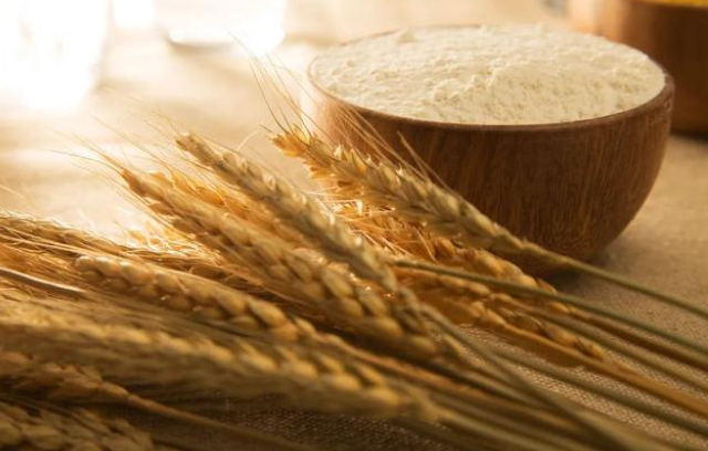 農(nóng)產(chǎn)品加工儲(chǔ)運(yùn)技術(shù)瓶頸的突破為促進(jìn)我國(guó)農(nóng)產(chǎn)品加工業(yè)發(fā)展