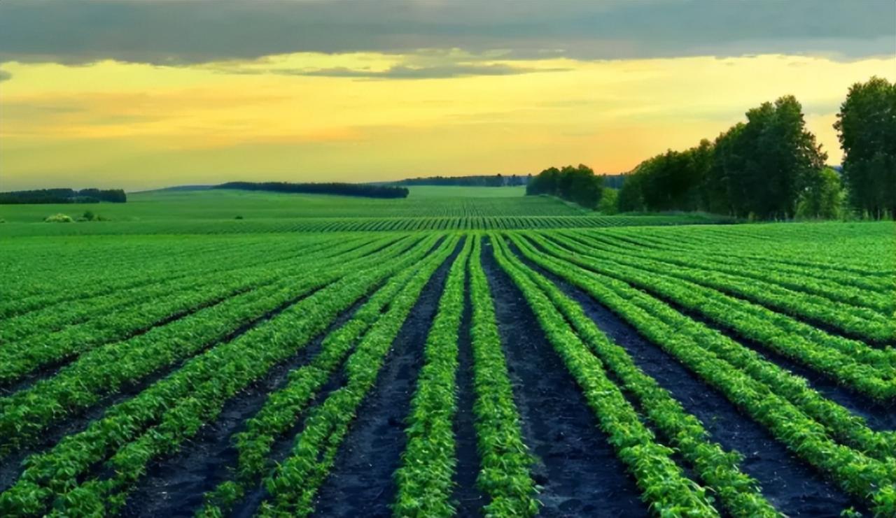 利用溫室遠程監控系統實現智能感知、智能預警、智能決策、智能分析
