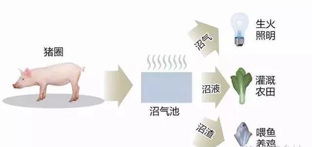 生態(tài)養(yǎng)殖后循環(huán)利用各種廢棄物