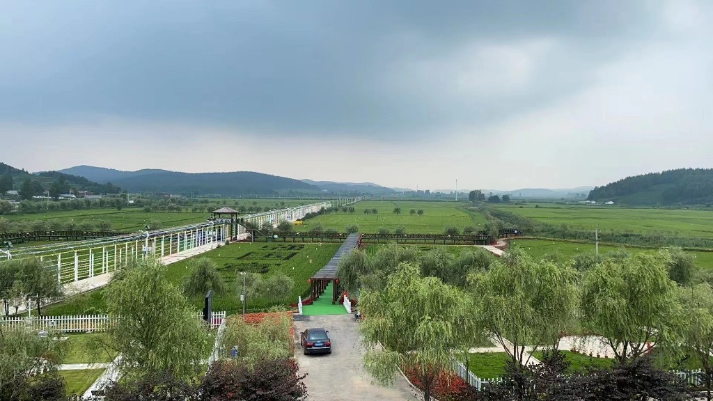 遼河源科學指導農民開展水稻田間管理、病蟲害防治等相關工作