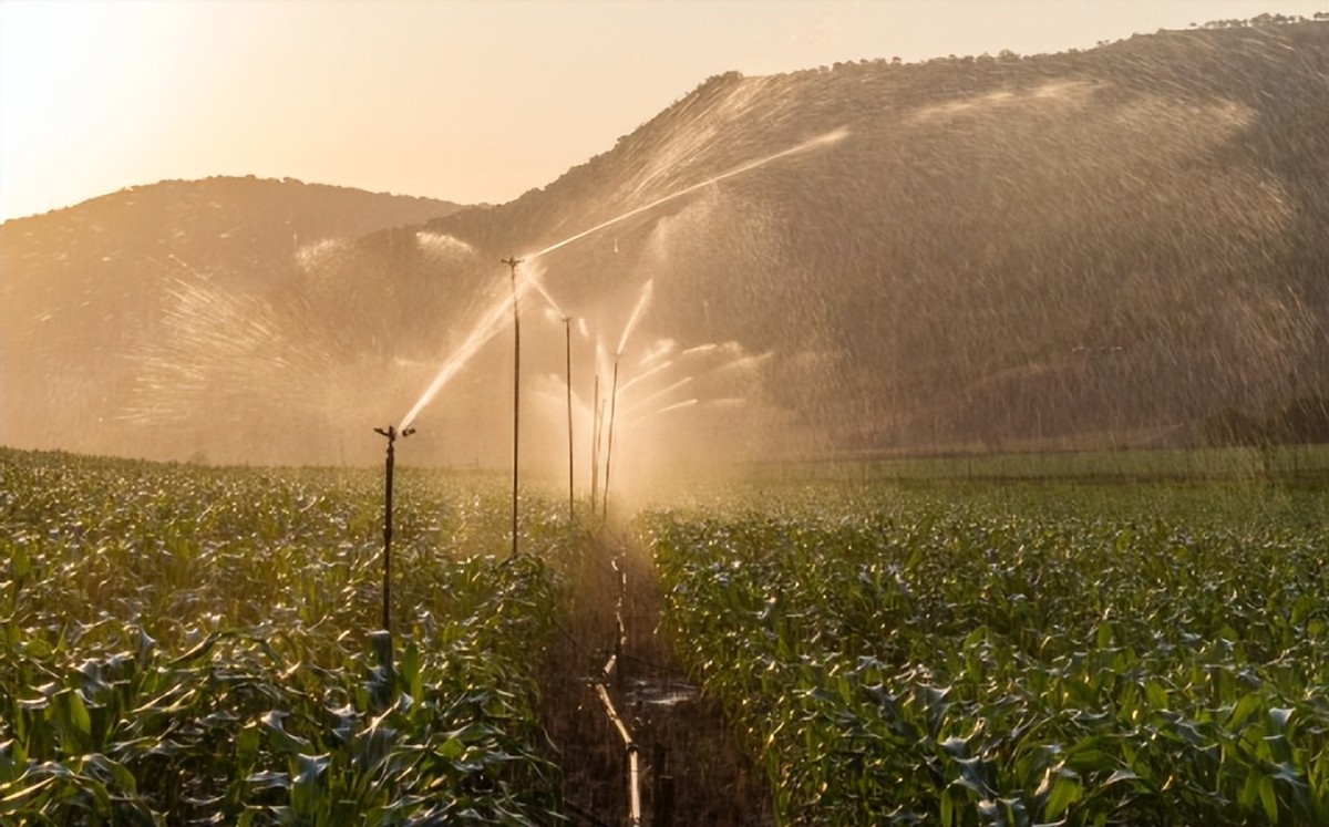 能夠設置作物生長環境參數閾值，高于或低于閾值報警系統自動啟動