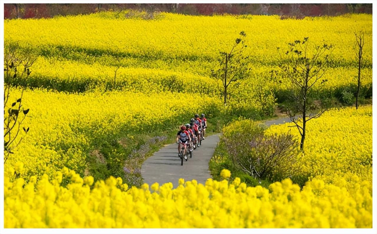 康養農業的蓬勃發展,離不開大健康趨勢的加持
