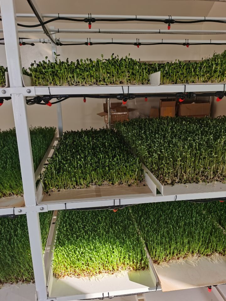 聚英農業云平臺合作案例