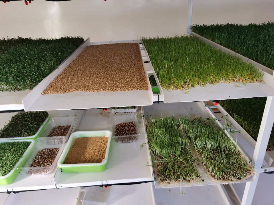 聚英農業云平臺合作案例