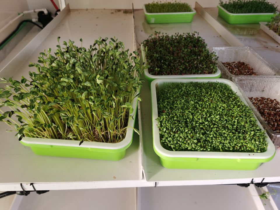 聚英農業云平臺合作案例