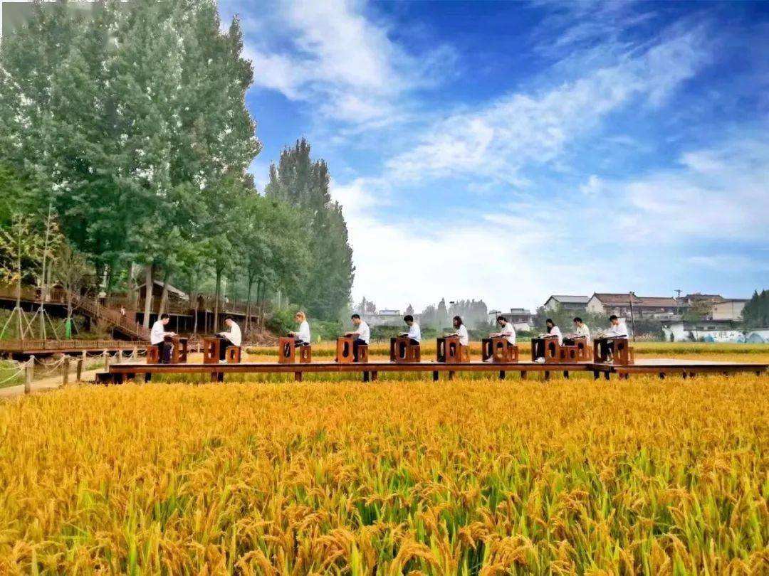 重慶酉陽：田園變“游園” 農文旅融合促振興