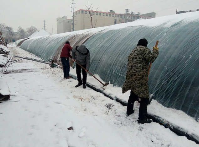 智能溫室大棚除雪