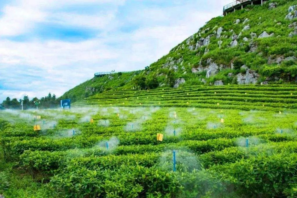 盤點：水肥一體化應用誤區(qū)