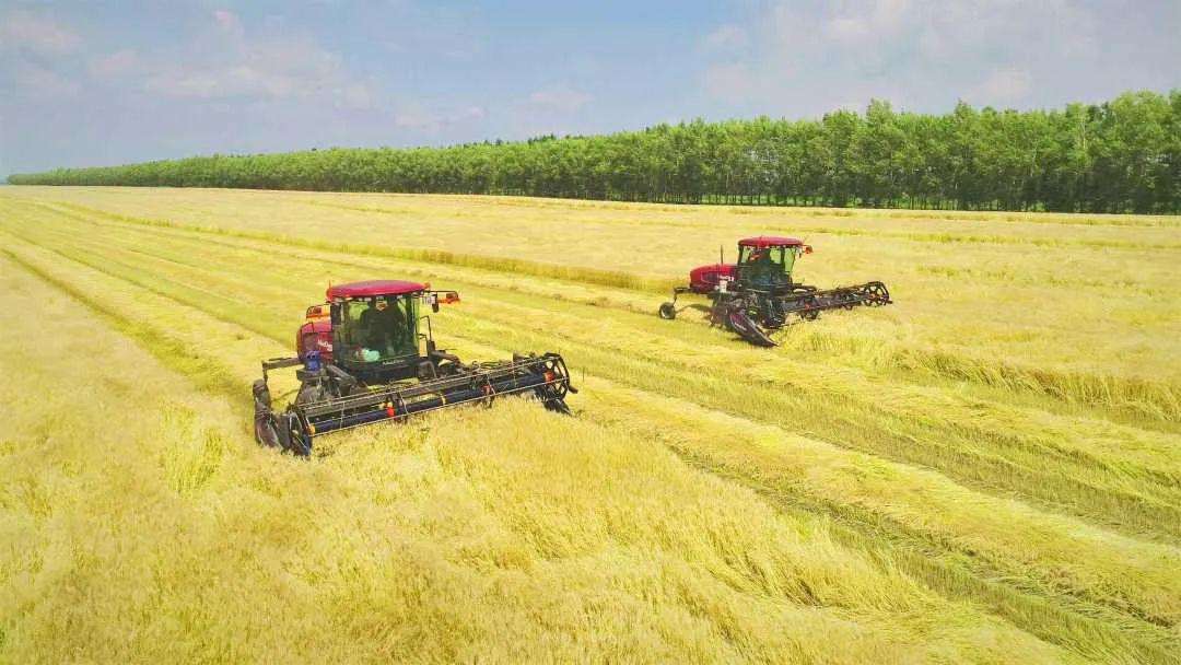 昆明：農(nóng)業(yè)現(xiàn)代化之路越走越寬闊