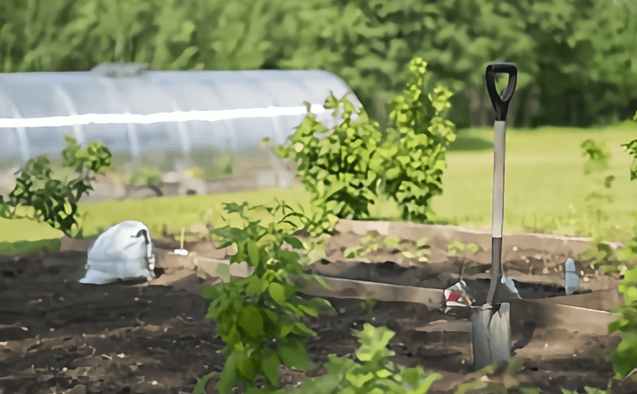 統(tǒng)籌考慮當前和長遠、產(chǎn)業(yè)發(fā)展和生態(tài)保護、糧食保供和農(nóng)民增收