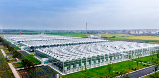 農業也能夠像工業一樣實現工廠化