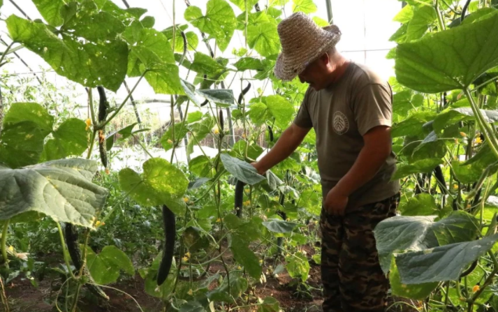 金秋九月，豐收在望