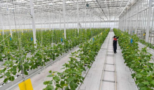 智慧農業-通過技術應用,使傳統農業更具有“智慧”