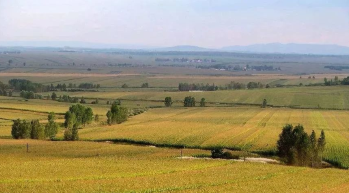 我們國家是大國小農，小農戶數量占農業經營主體98%