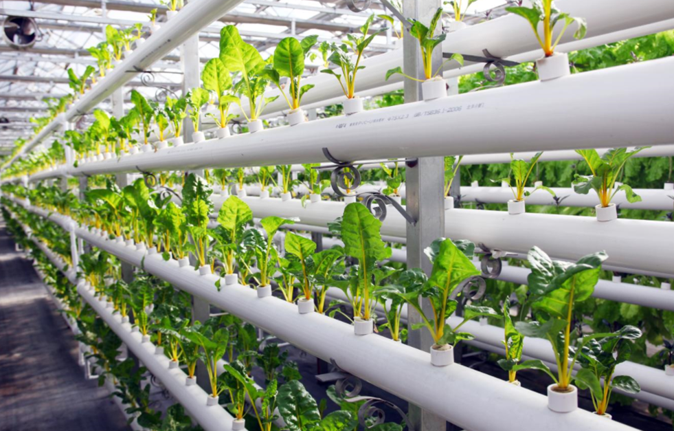 推進(jìn)智能農(nóng)機(jī)應(yīng)用，升級(jí)改造農(nóng)機(jī)裝備，促進(jìn)農(nóng)產(chǎn)品加工智能轉(zhuǎn)型