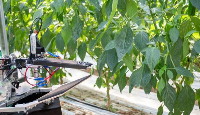 下一波農業革命(自動采收機器人、人工智能)可以說是已經蓄勢待發