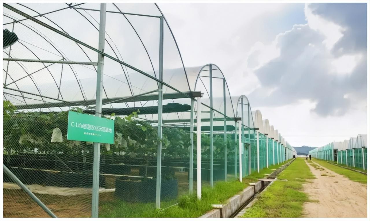 建立現(xiàn)代農(nóng)業(yè)科研體系，提升影響力