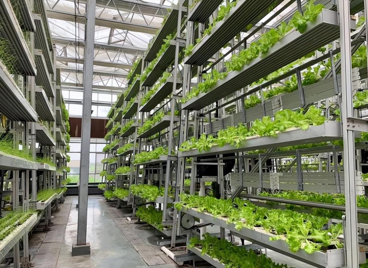 魚菜共生AI工廠