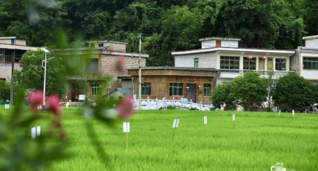 優美的鄉村環境