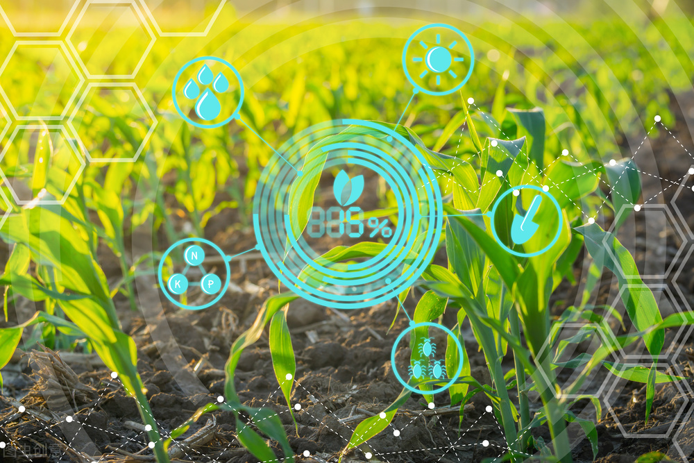 通過智能化設備關聯，解決吃飯問題，保證糧食安全