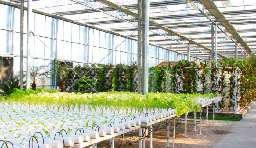 加大農(nóng)業(yè)科技成果落地，引導(dǎo)產(chǎn)業(yè)升級(jí)