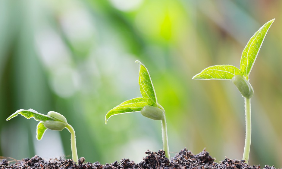 依托數(shù)字化、智能化等現(xiàn)代農(nóng)業(yè)技術(shù)，推進(jìn)蔬菜產(chǎn)業(yè)轉(zhuǎn)型升級(jí)