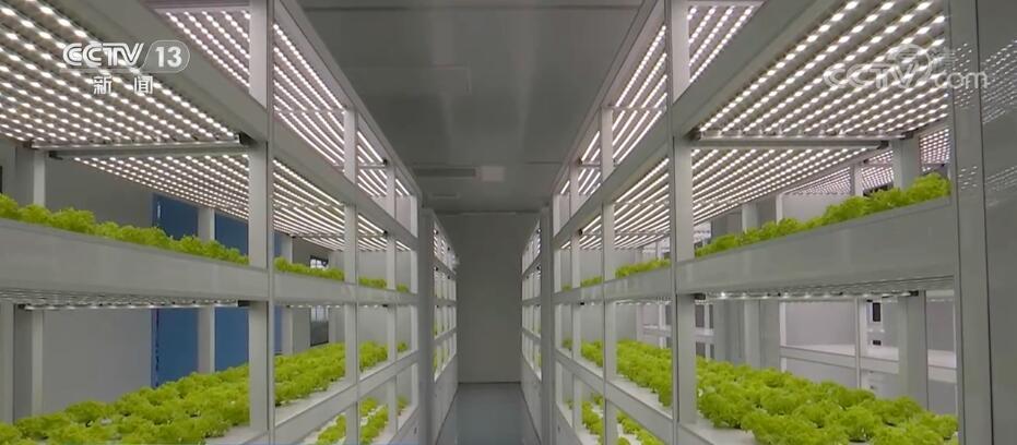  江蘇南通通州區(qū)的智慧農(nóng)業(yè)基地
