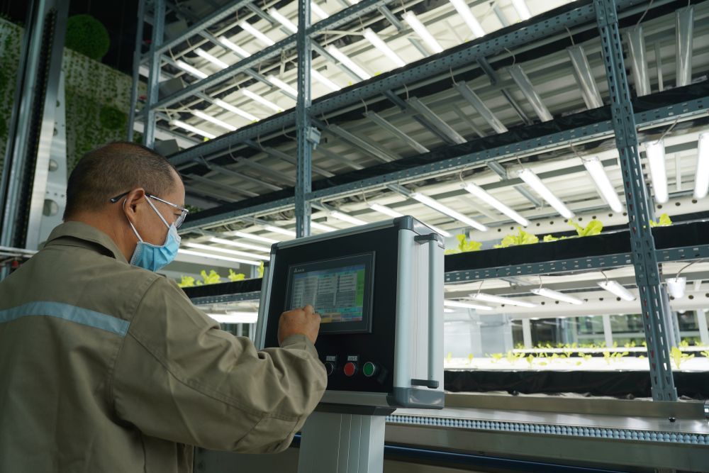 9月20日，在成都市新津區(qū)的中國(guó)農(nóng)科院立體農(nóng)場(chǎng)，工作人員在操作自動(dòng)化控制器。