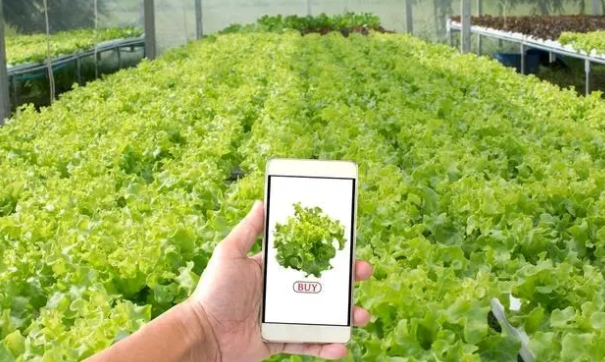 物聯網技術與傳感器技術相結合,實現可視化遠程診斷、遠程控制