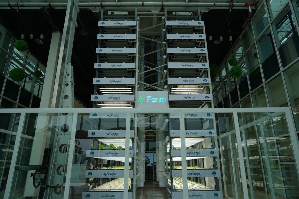 這是9月20日在成都市新津區(qū)興義鎮(zhèn)波爾村拍攝的中國(guó)農(nóng)科院立體農(nóng)場(chǎng)。