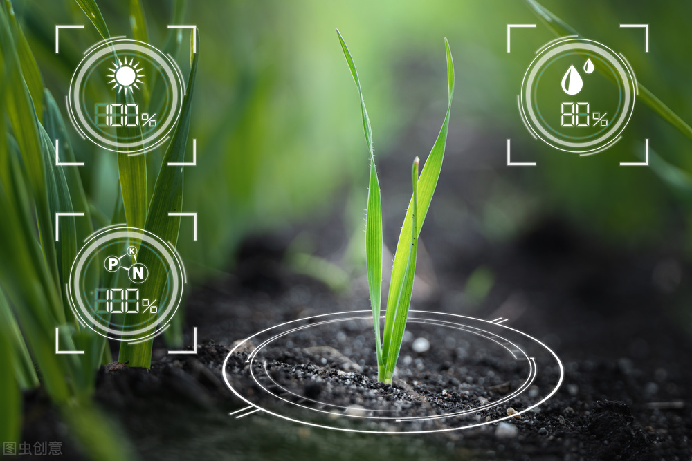 現代農業集約化、設施化、規模化、工業化