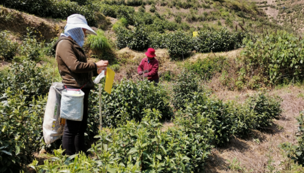 統籌推進畜禽糞污資源化利用，持續改善農業生態環境。