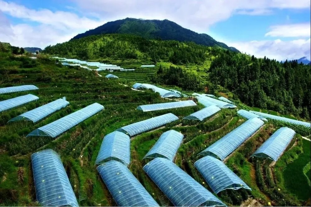 武隆區(qū)是典型的喀斯特地貌，嚴(yán)重制約當(dāng)?shù)剞r(nóng)業(yè)的發(fā)展