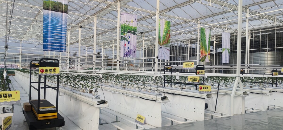 現(xiàn)代農(nóng)業(yè)發(fā)展的重點(diǎn)