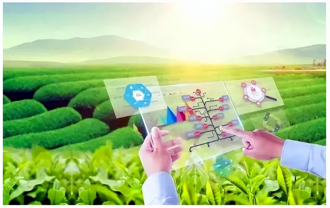 農(nóng)業(yè)智能決策轉(zhuǎn)入以大數(shù)據(jù)驅(qū)動(dòng)的方式