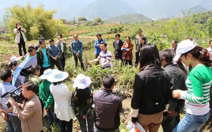 特色產(chǎn)業(yè)建設(shè)和農(nóng)業(yè)災(zāi)后恢復(fù)重建工作