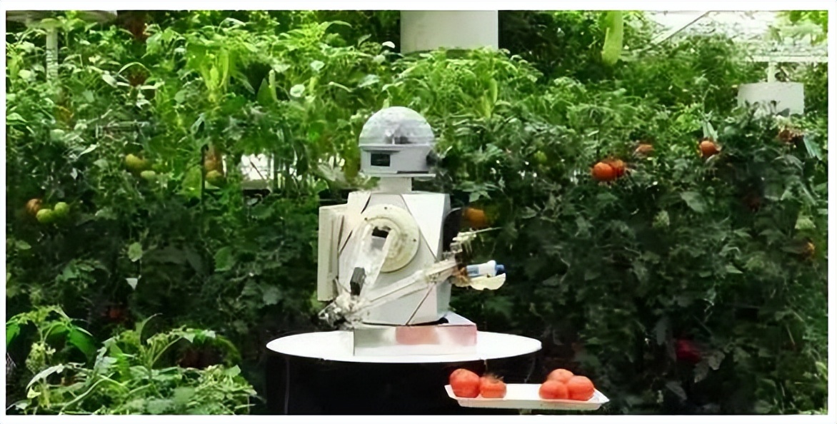 智慧農(nóng)業(yè)是農(nóng)業(yè)的未來(lái)