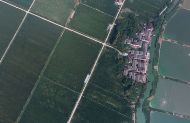 農村是座“富礦”，處處都是“寶貝”