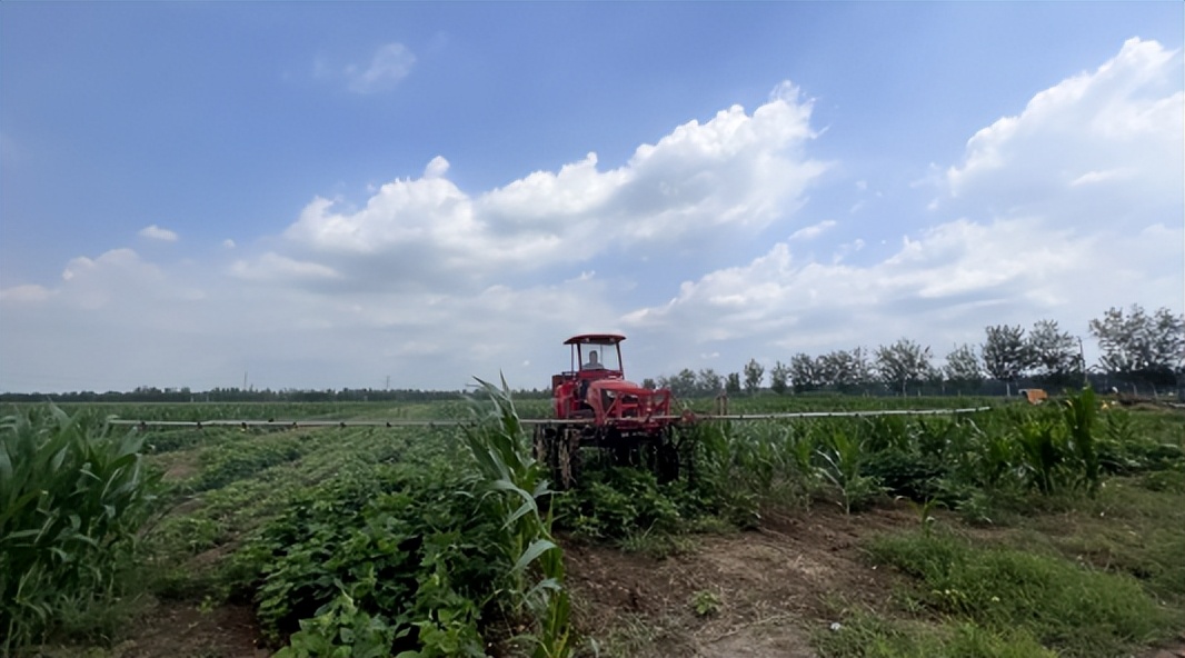 隨著秋糧作物進入產量形成的關鍵時期，自然災害頻發、病蟲害高發等問題也接踵而來。