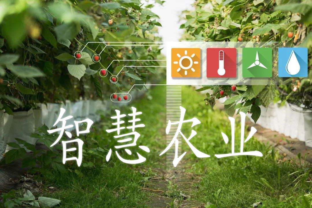 農(nóng)業(yè)物聯(lián)網(wǎng)推動智慧農(nóng)業(yè)的前進
