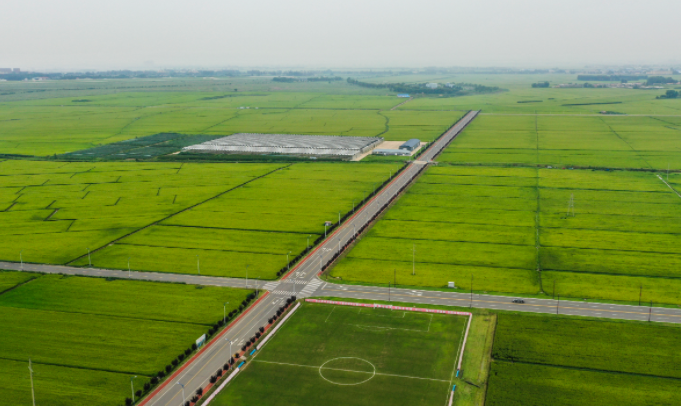 常德漢壽：“三高”并舉建設(shè)高標(biāo)準(zhǔn)農(nóng)田省級(jí)示范片