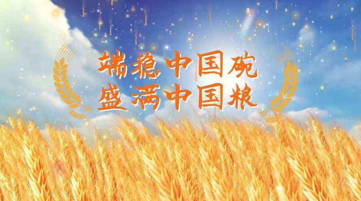 五常為“中國飯碗”裝上優質米