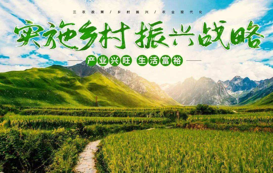 天津西青區：從“會”種地到“慧”種地 科技為農業生產“保駕護航”