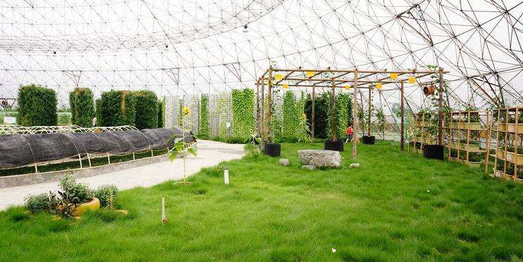 北京平谷東高村鎮(zhèn)創(chuàng)建7個博士農(nóng)場