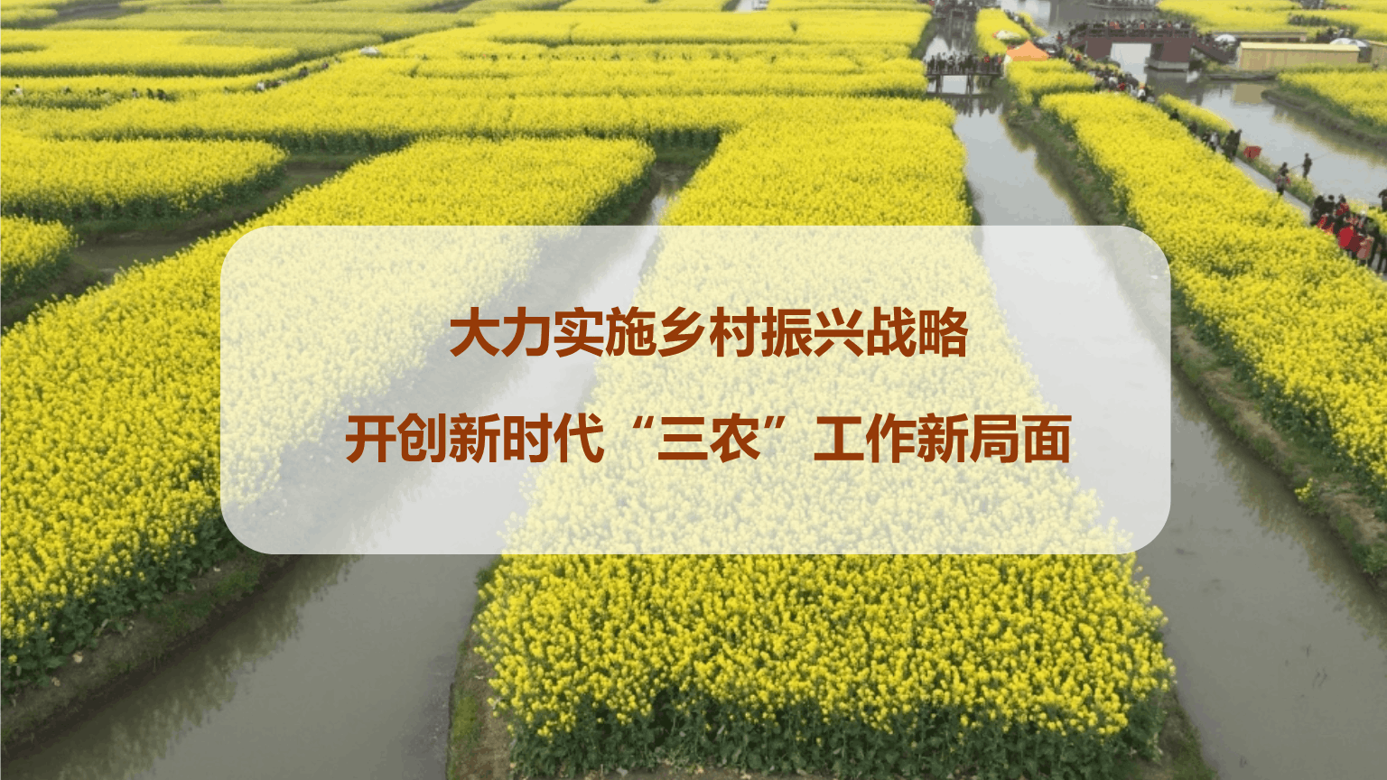 鄉(xiāng)村振興