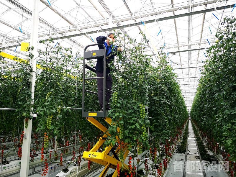 首農翠湖農業傾力打造“農業創新工場”