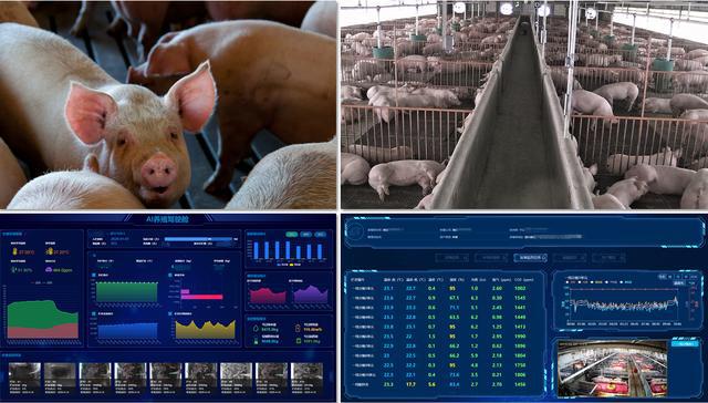 智慧養(yǎng)殖系統(tǒng)