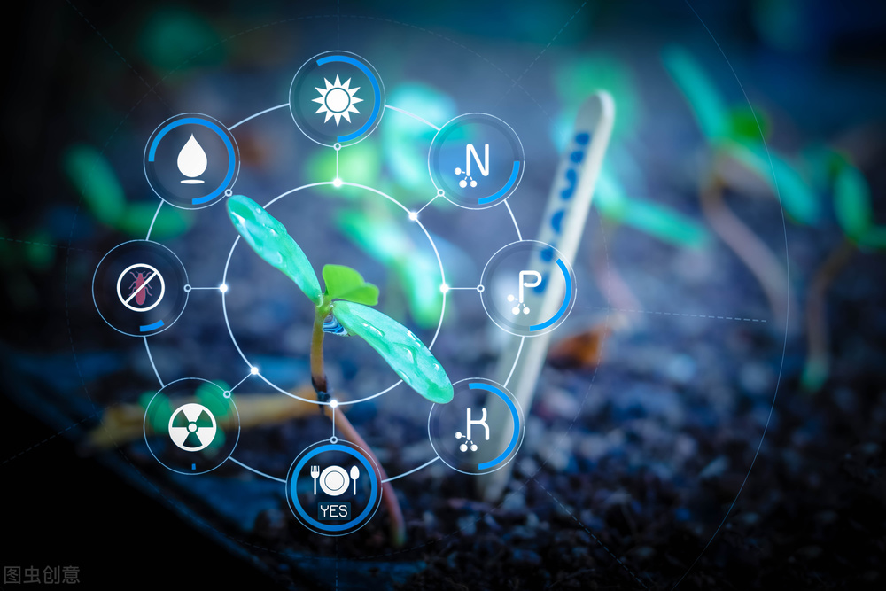 物聯(lián)網(wǎng)技術成為農(nóng)業(yè)的第一生產(chǎn)力