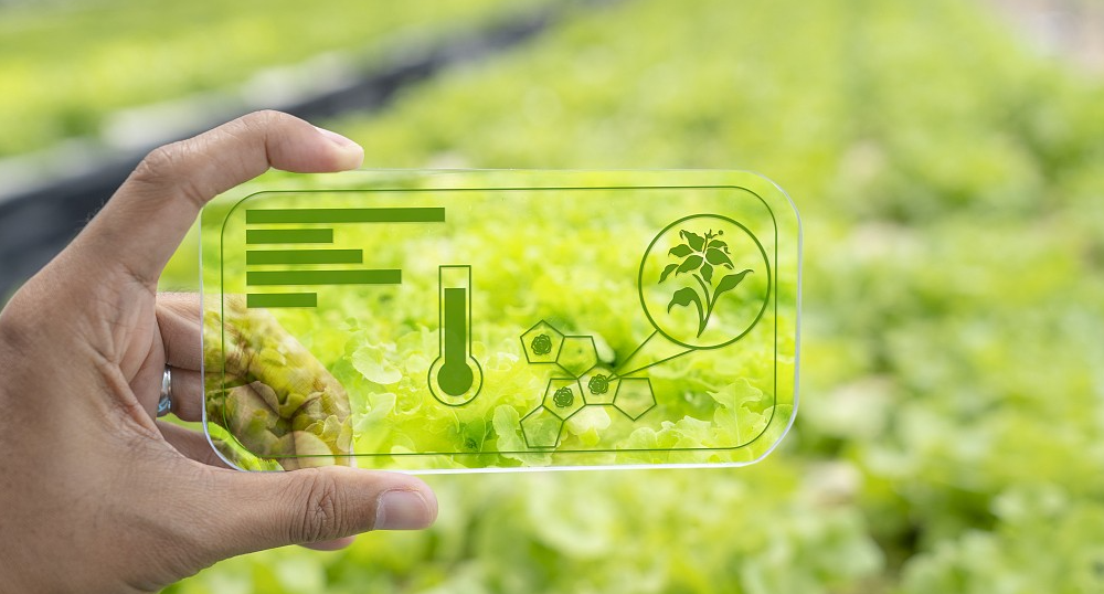 物聯(lián)網(wǎng)是推動信息化與農(nóng)業(yè)現(xiàn)代化融合的重要切入點